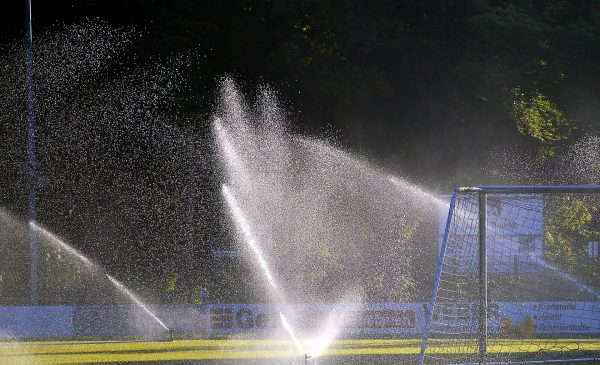 Jak działają automatycznie system nawadniania ogrodów?